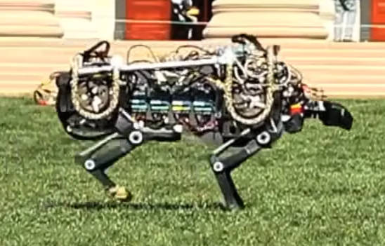 Le robot guépard qui court plus vite qu’Usain Bolt