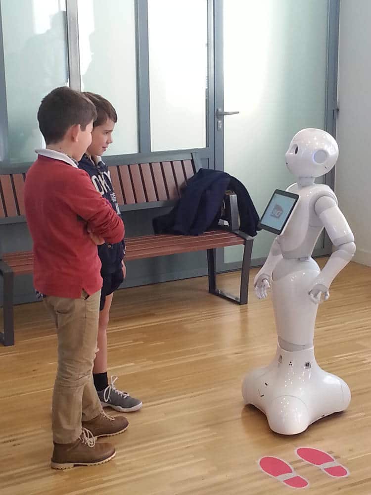 choisir le robot de compagnie en fonction de son utilisation