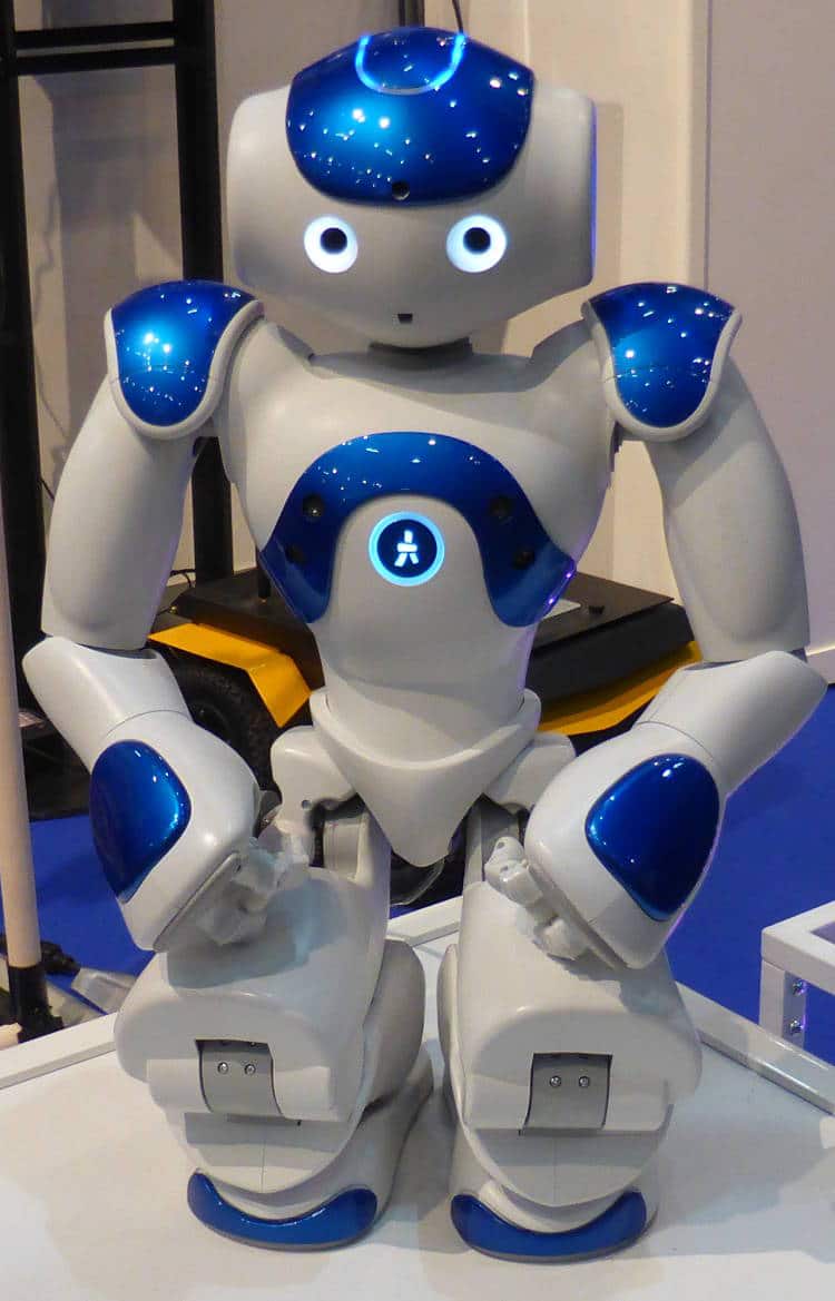 choisir un robot de compagnie