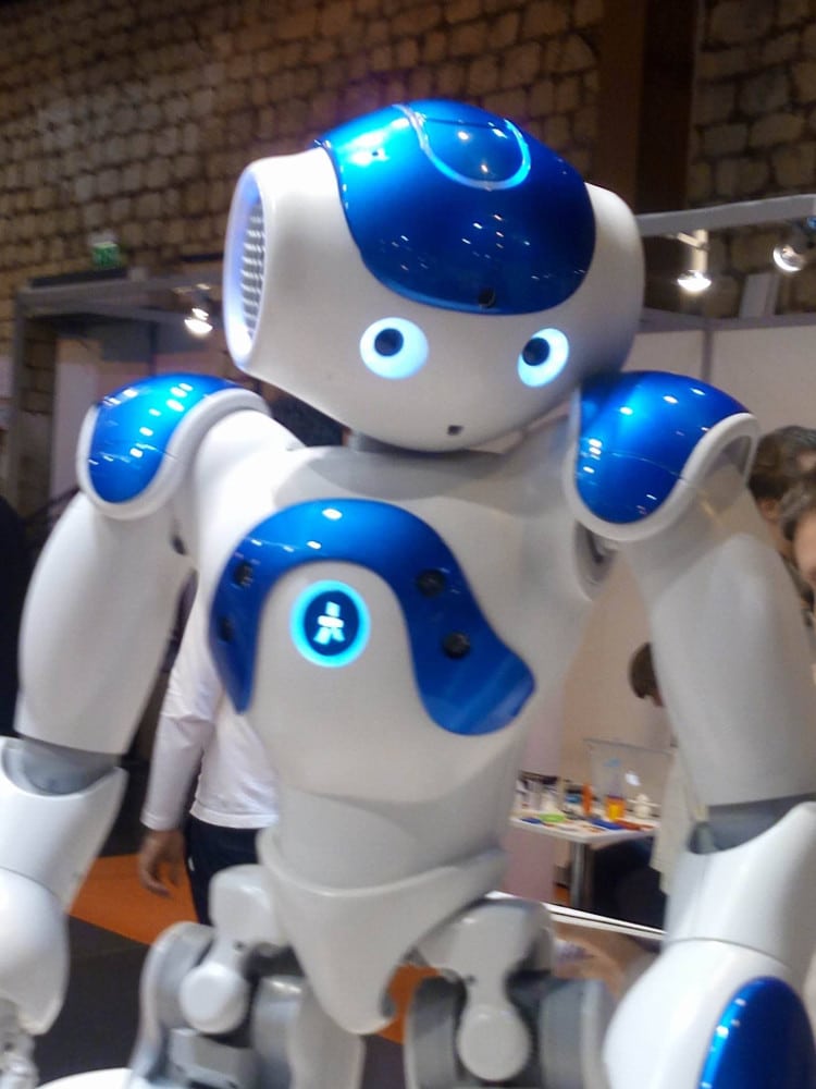 Nao, robot de compagnie fait son show à Innorobo