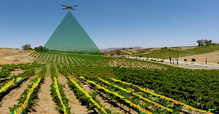 le Big Data appliqué à l’agriculture