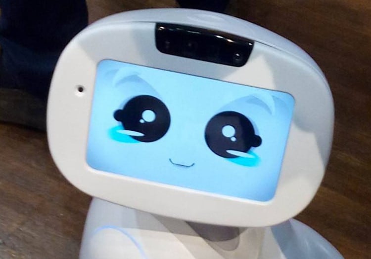 Innorobo 2016 : les robots de compagnie les plus mignons