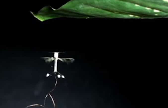 Des mini-drones se collent au plafond grâce à l’électricité statique