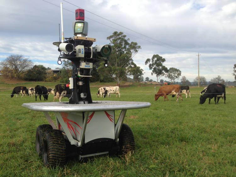 En Australie : un robot berger surveille les pâturages