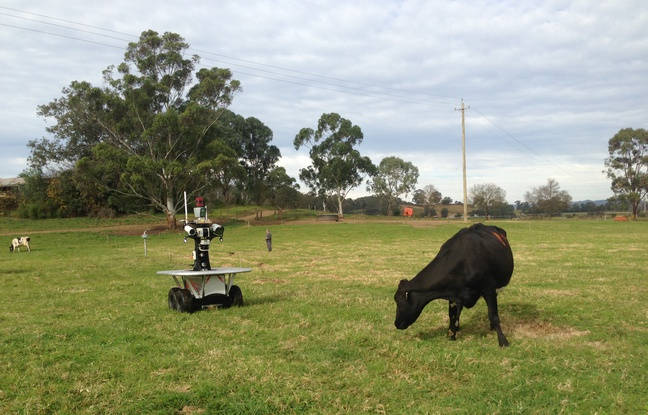 un robot gardien pour les animaux