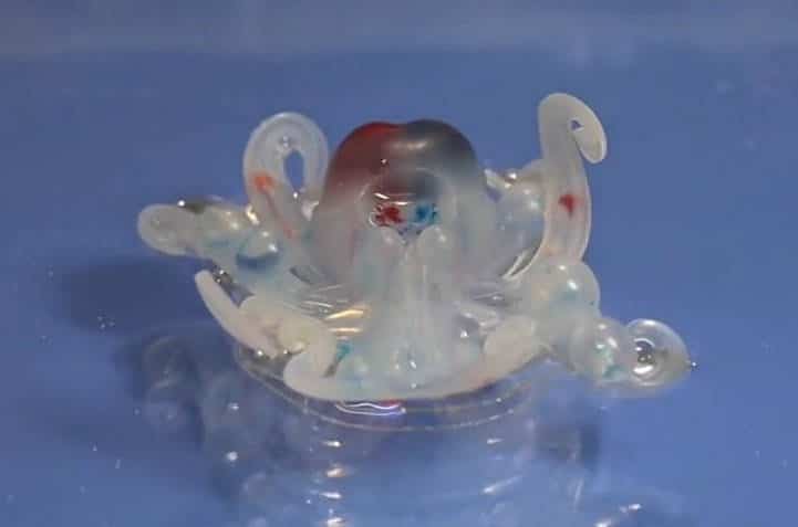 Octobot : un robot tout mou qui pourrait, à terme, se déplacer dans le corps humain !