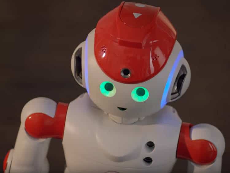Pour Noël 2017 : achetez le jumeau de Nao à prix réduit !