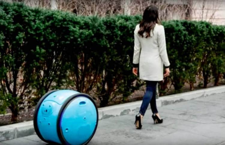 Un robot chariot pour la vie de tous les jours avec Gita