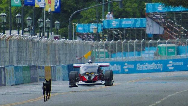 Premier Roborace : deux voitures autonomes de course, un chien, un accident (aucun blessé) !