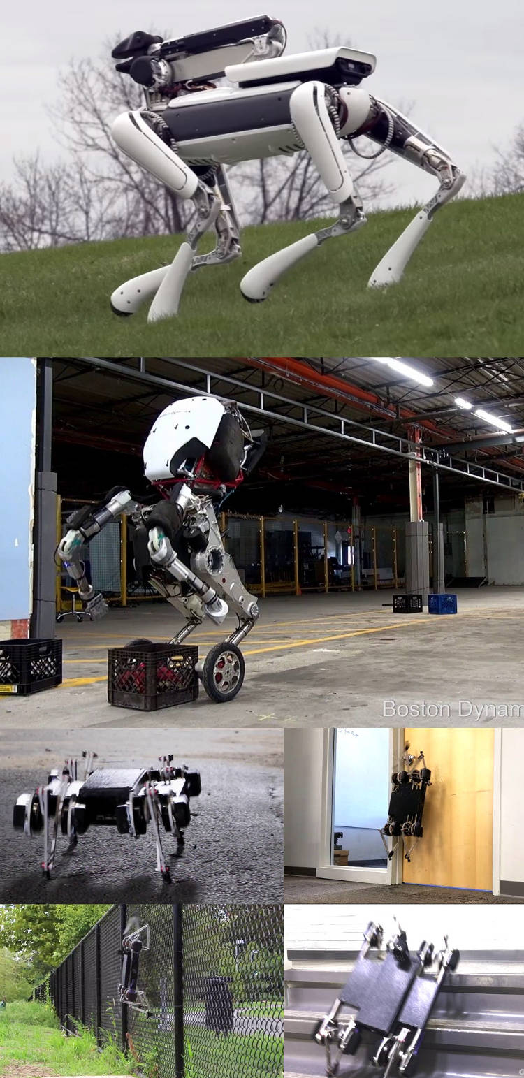 robot spotmini handle minitaur 3 robots chiens pour l’armée américaine !