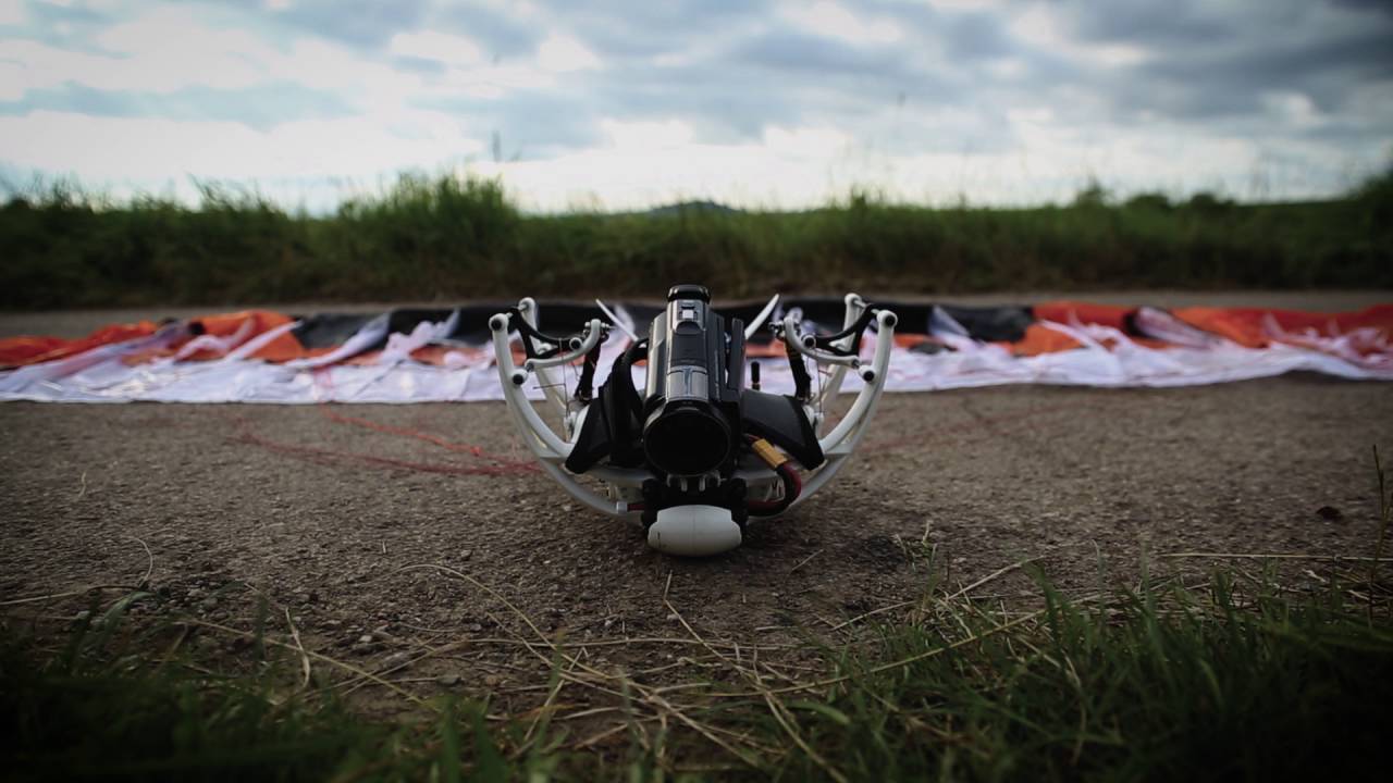 Un ingénieur alsacien conçoit un drone silencieux (et mangeable !) pour observer la nature sans perturber les animaux