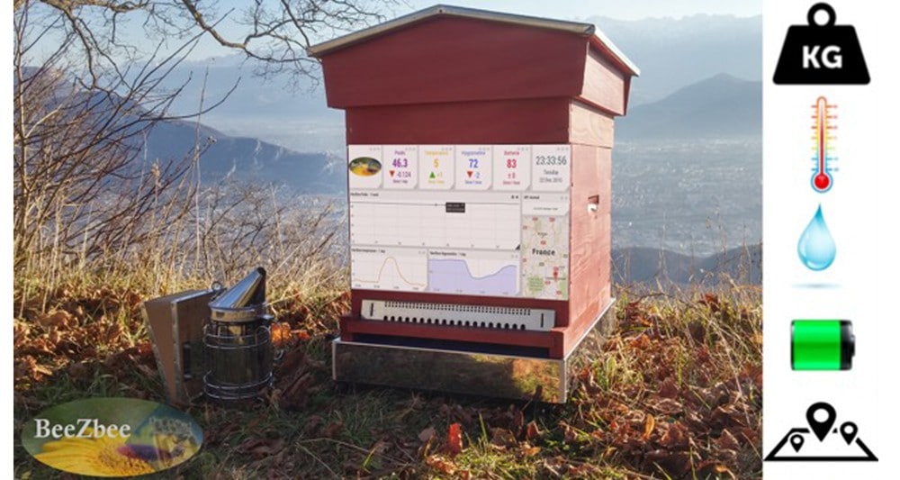Pour sauver les abeilles, installez une ruche connectée dans votre jardin !