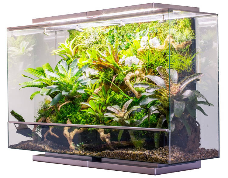 objet connecté bipod Un jardin d’intérieur basé sur l’aquaponie avec Grove Labs