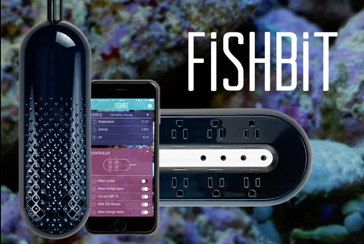 L’aquarium connecté pour assurer le bien-être de vos poissons