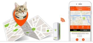 ne risquez-plus de perdre votre chat avec cet objet connecté