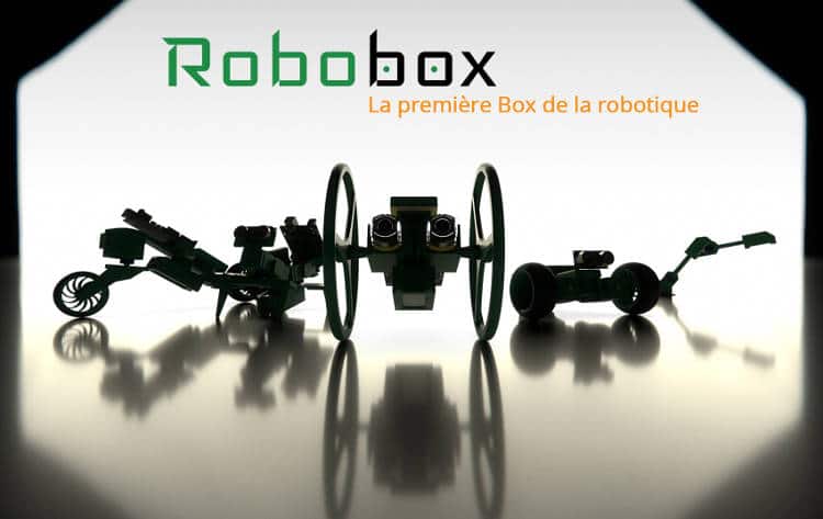 Robobox, la première boxe de la robotique