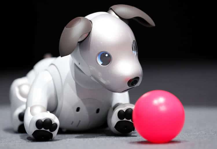 chien robot sony