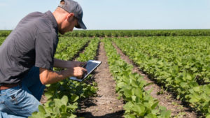 la data au service du monde agricole