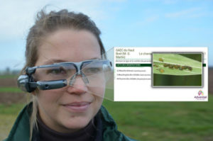 Des lunettes connectées pour voir les plantes malades