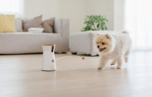 furbo l'objet connecté pour votre chien