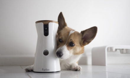 Pet Tech’ : des caméras connectées pour interagir à distance avec vos animaux