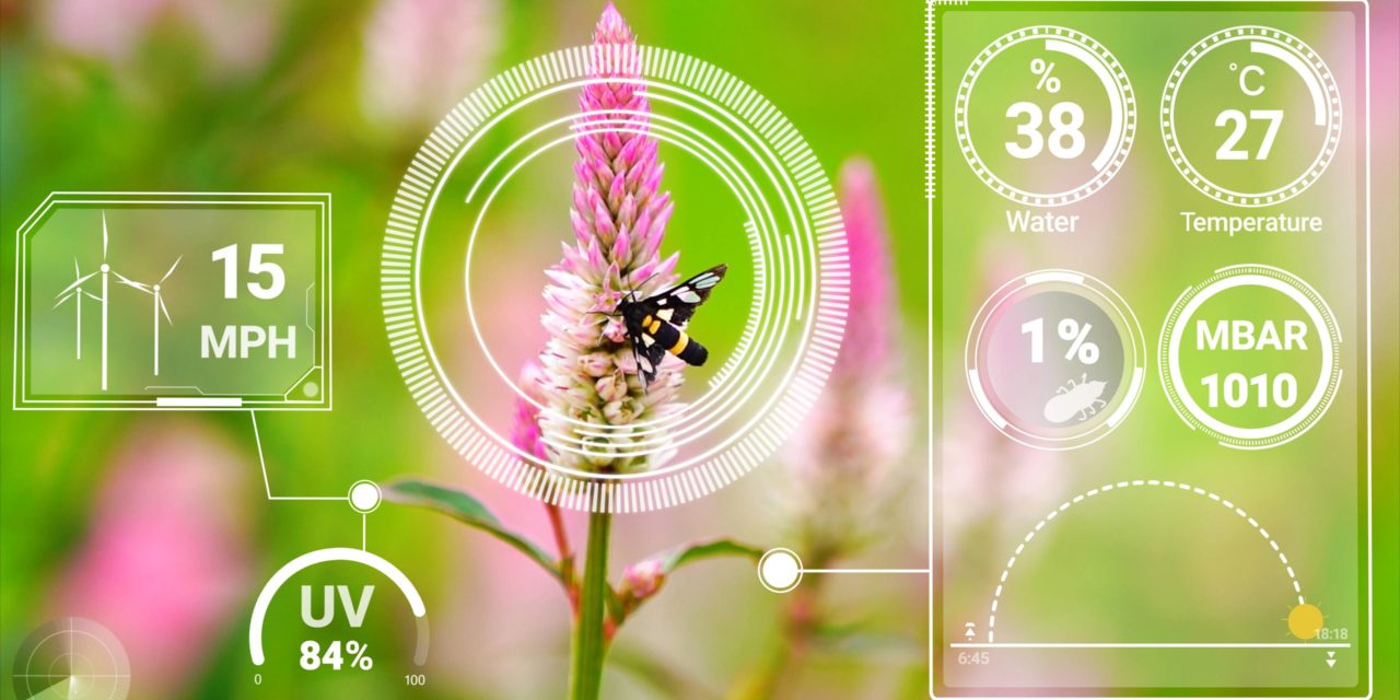 Agriculture et élevage : optimiser la gestion avec l’intelligence artificielle