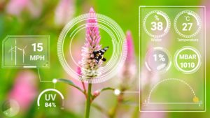 agriculture et intelligence artificielle