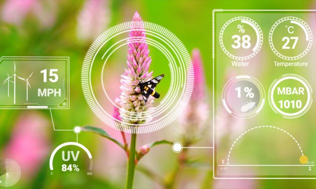 Agriculture et élevage : optimiser la gestion avec l&rsquo;intelligence artificielle