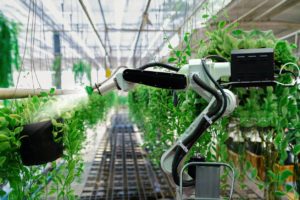 agriculture ia